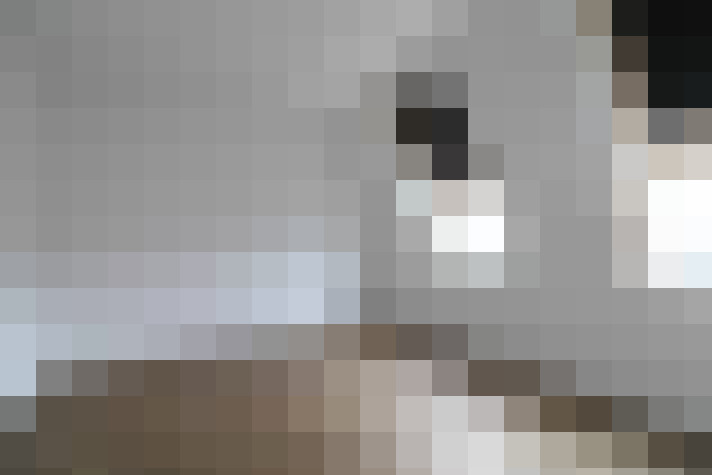  / #15