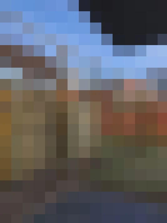  / #66