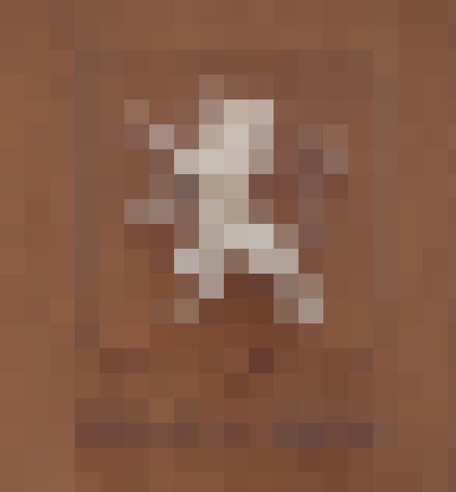  / #6