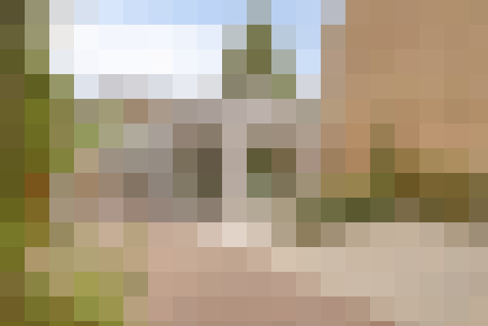  / #65
