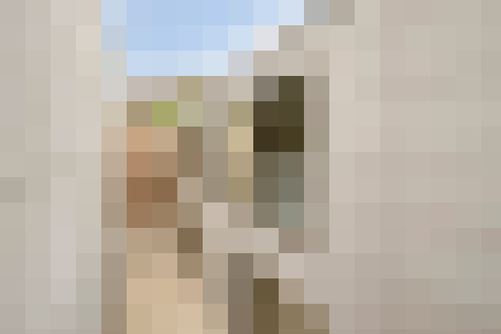  / #61