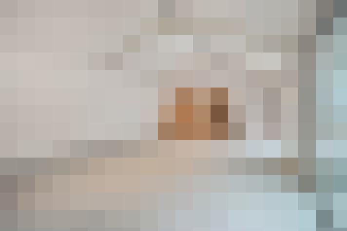  / #21
