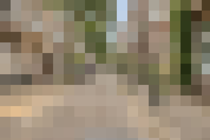  / #63