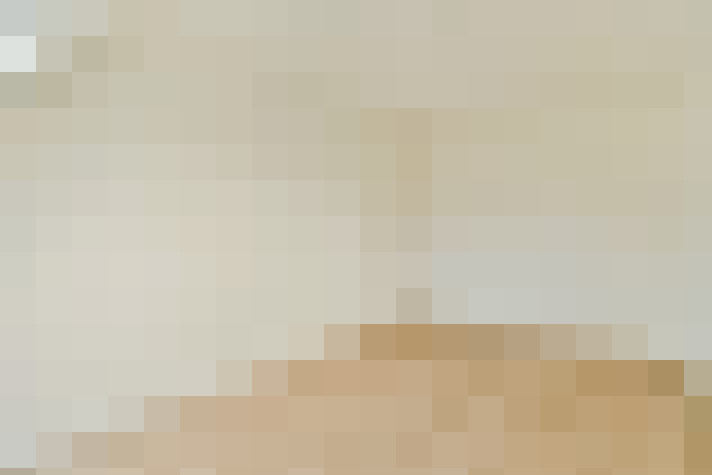  / #24