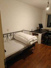 Room in Stichtse Vecht
