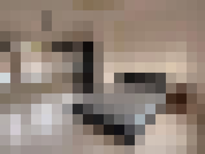 / #8
