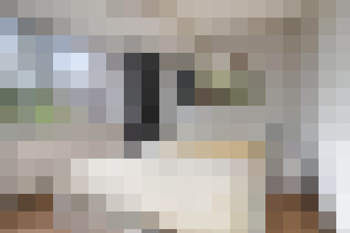  / #14