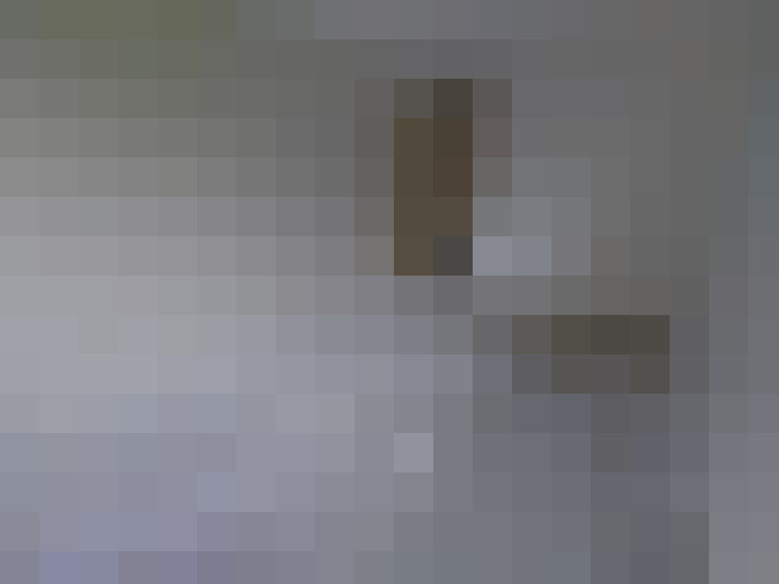  / #12