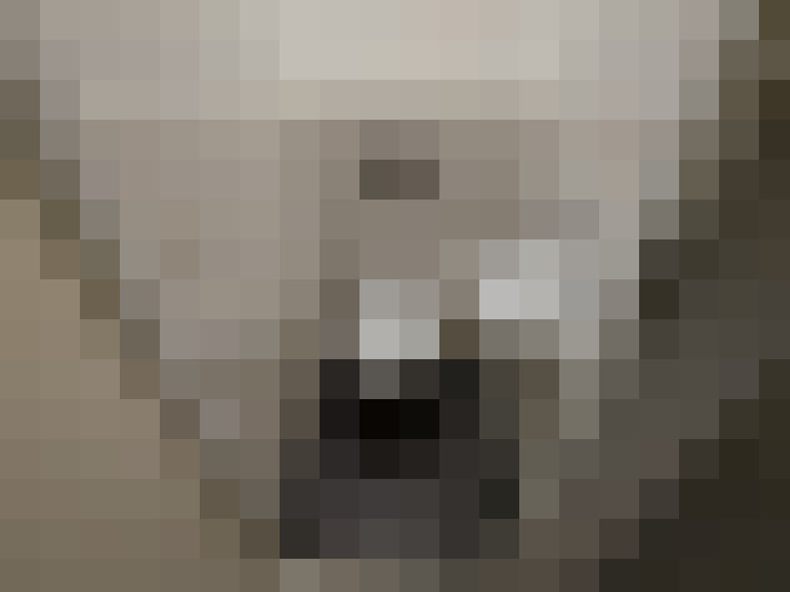  / #18