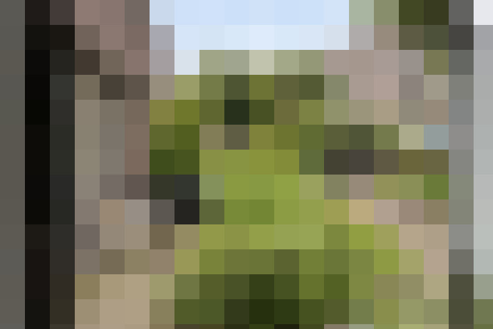  / #15