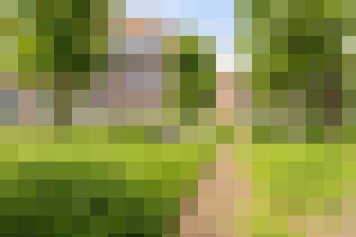  / #14