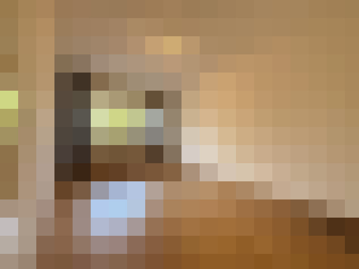  / #8