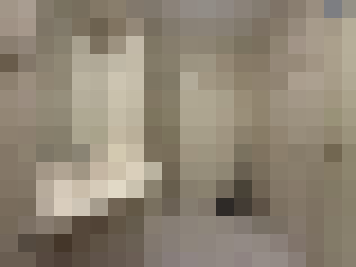  / #12