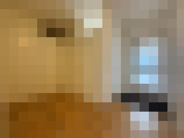  / #13