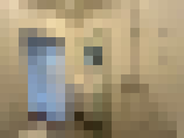  / #12