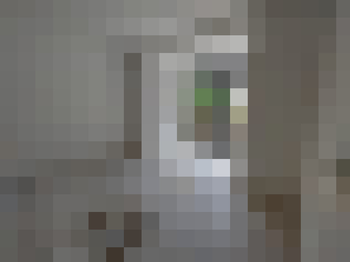  / #15