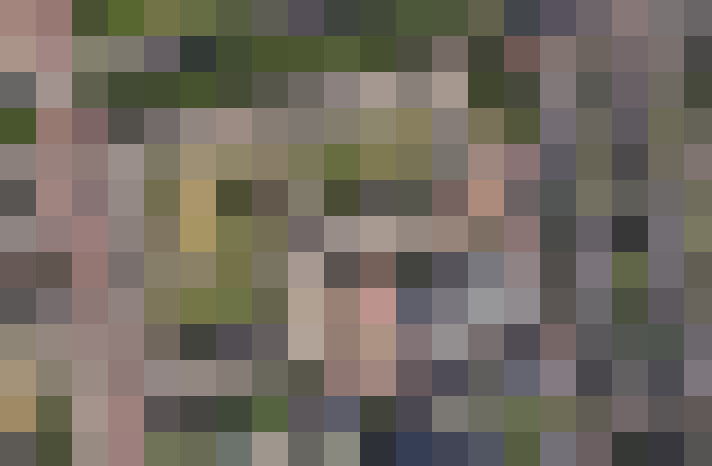  / #22