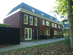 Dom — Alkmaar