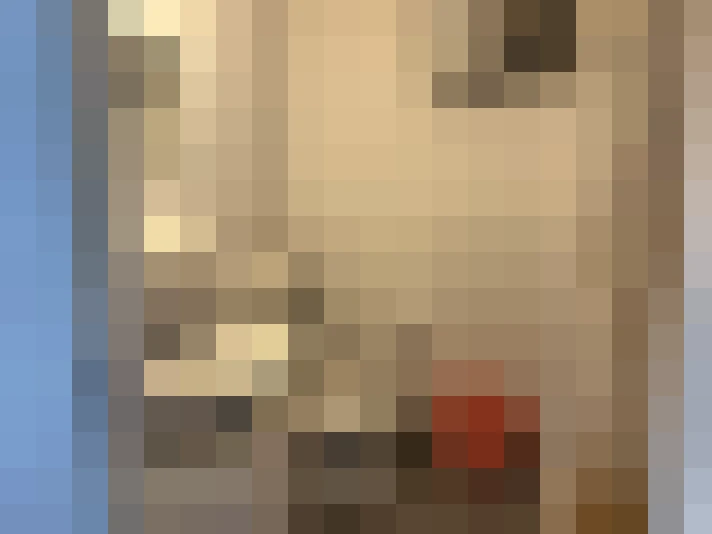  / #8