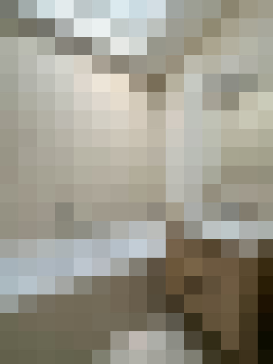  / #16