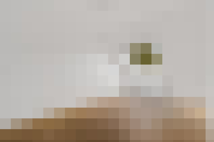  / #10