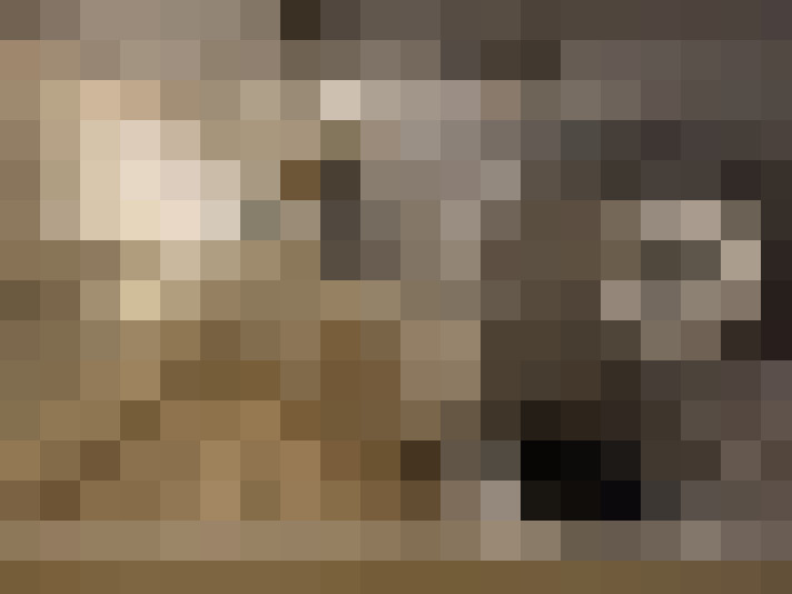  / #14