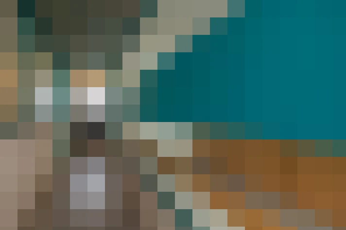  / #33