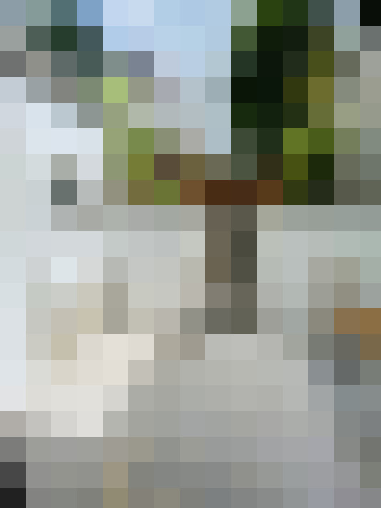  / #6