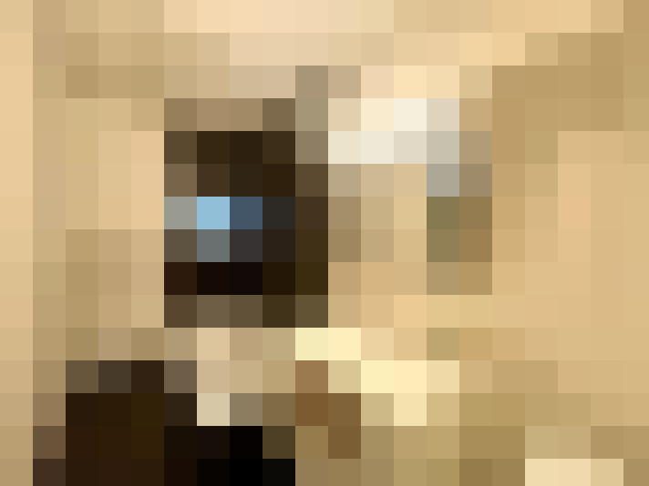  / #12