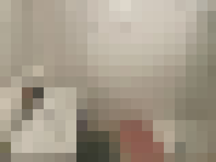  / #15