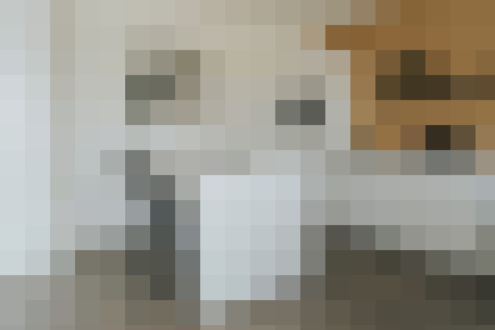  / #8