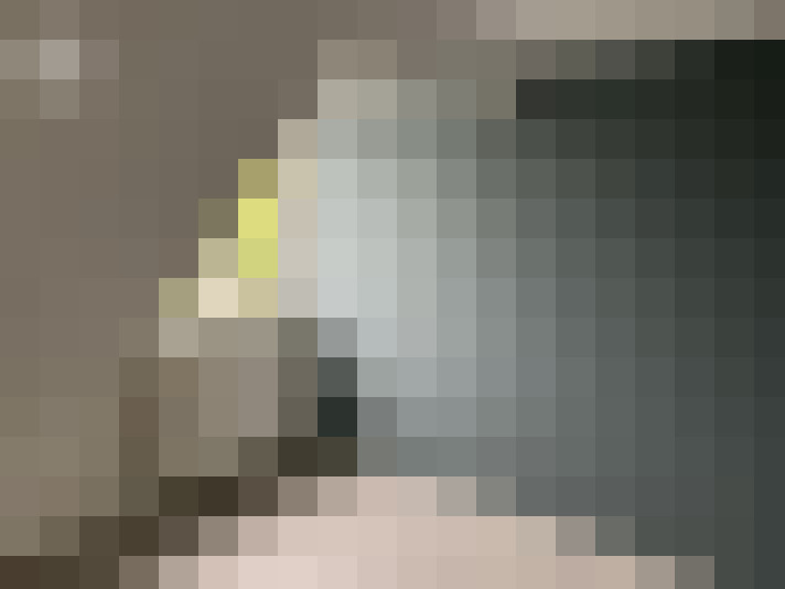  / #8
