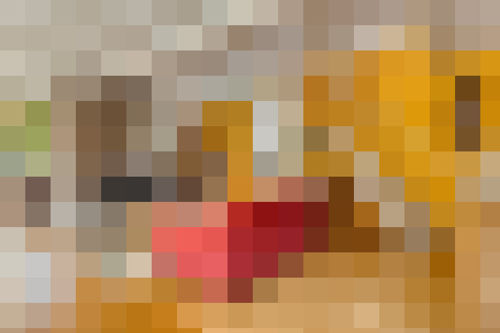  / #14