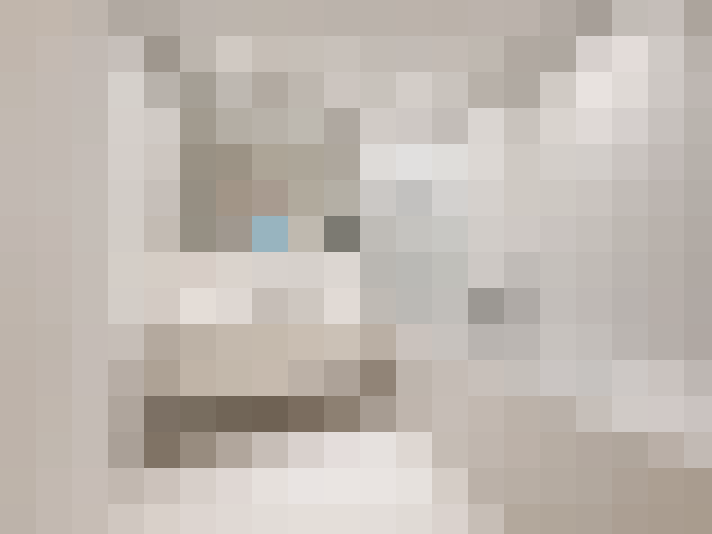  / #11