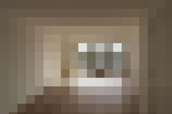  / #11