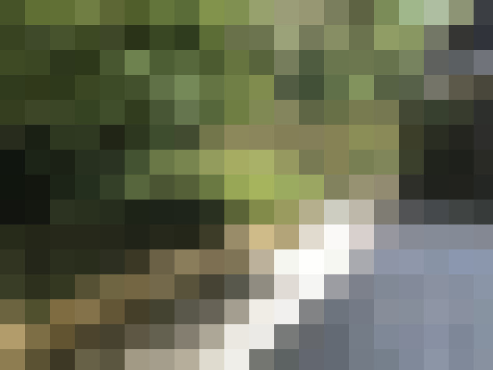  / #16