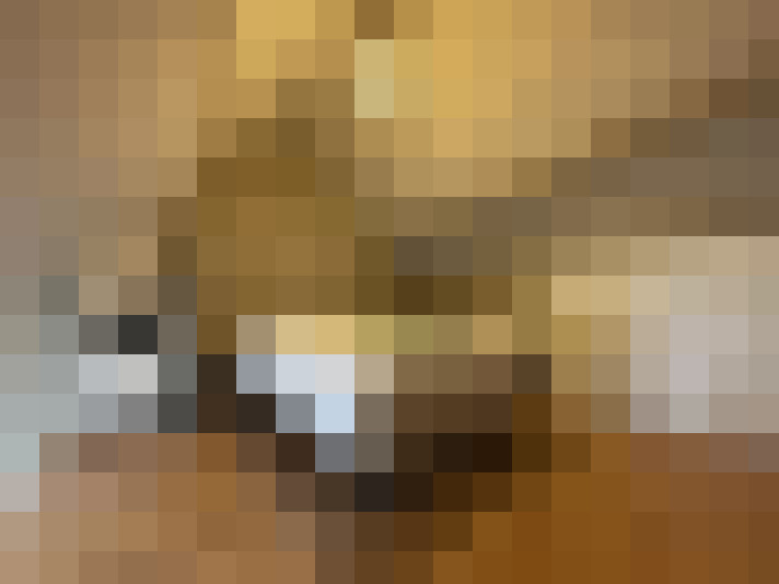  / #8