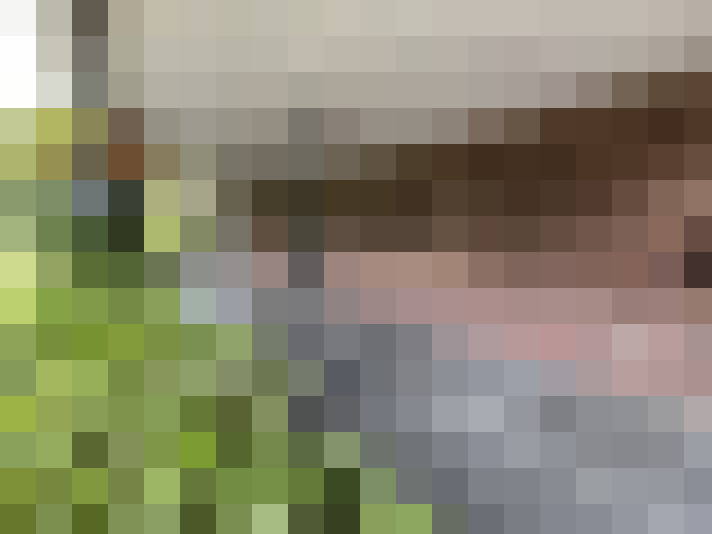  / #18