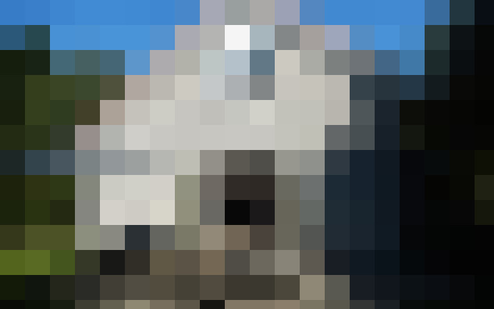  / #8