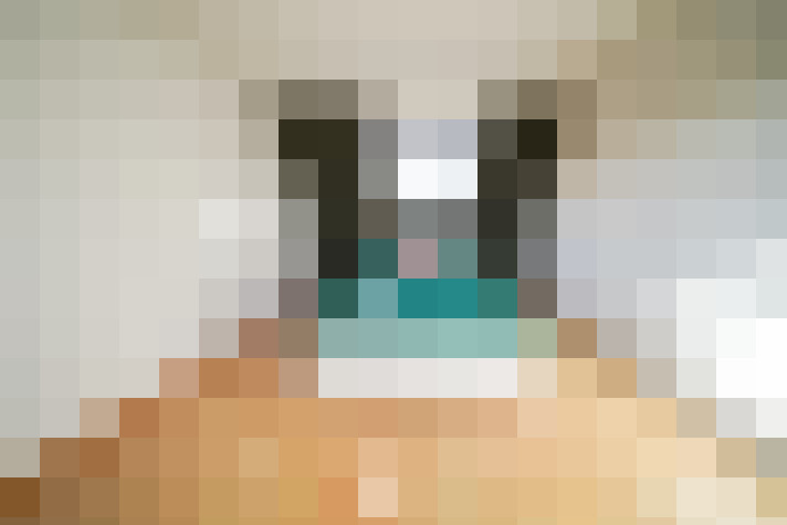  / #8