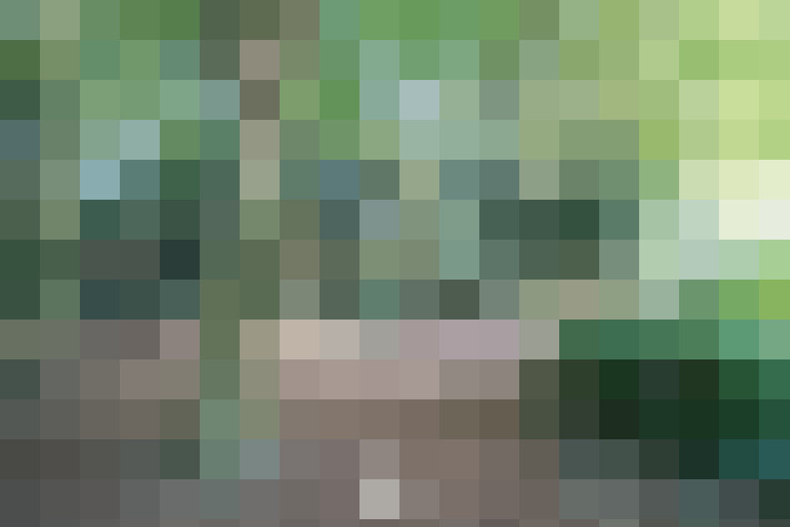  / #15