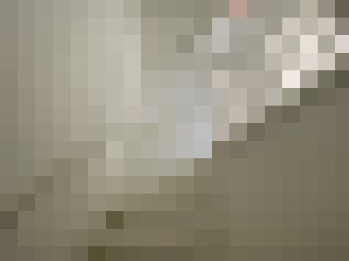  / #8
