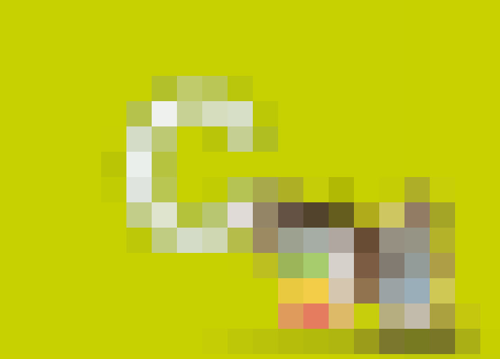  / #23