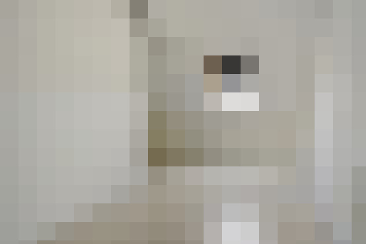  / #16