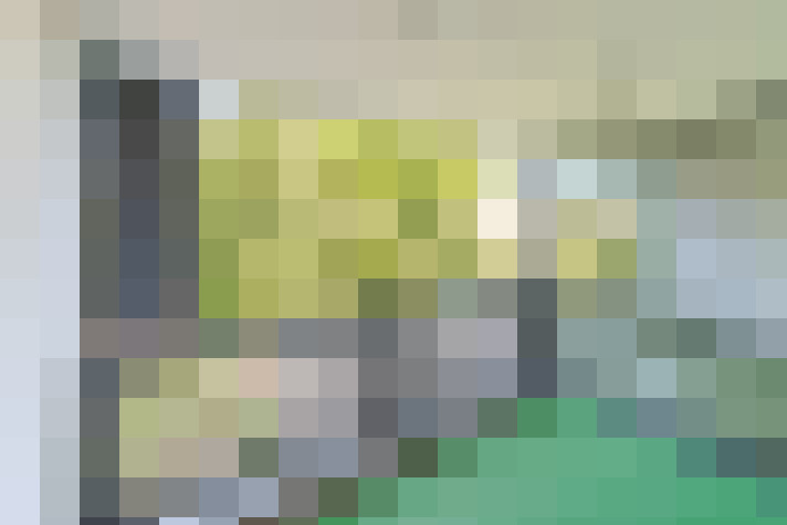  / #14