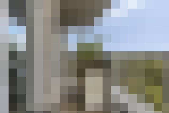  / #61