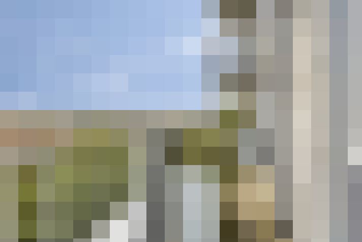  / #55