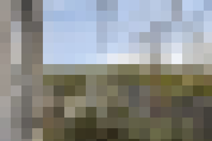  / #59
