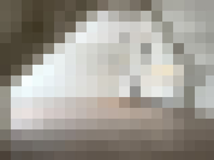  / #14