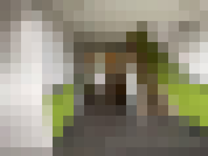  / #15